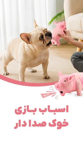 عروسک خوک صدا دار
