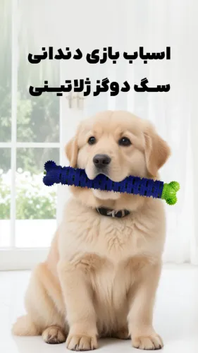  دندانی دوگز ژلاتینی
