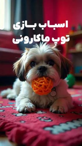  توپ ماکارونی 