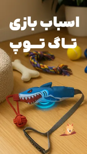 اسباب بازی تاگ توپ طناب برزنتی صدادار